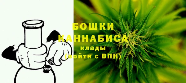 дурь Новодвинск