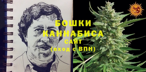 бошки Нея