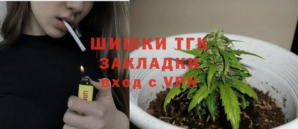 дурь Новодвинск
