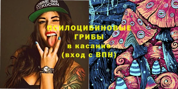 дурь Новодвинск