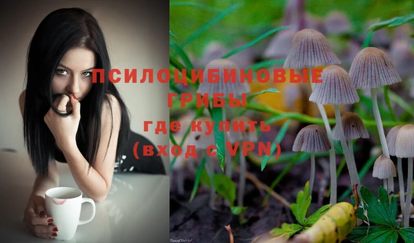 дурь Новодвинск