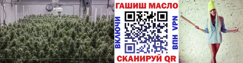 ТГК концентрат  Иннополис 